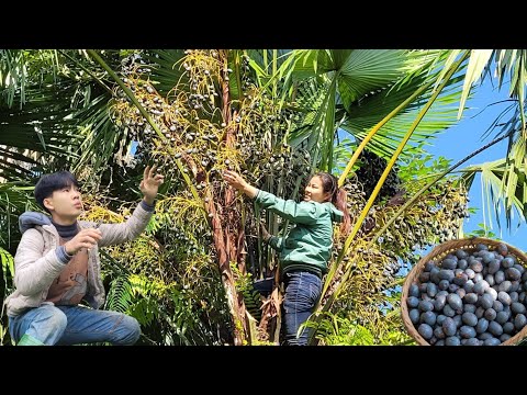 This is the daily life of a poor boy who lives and works hard, is valued and helped by his neighbor