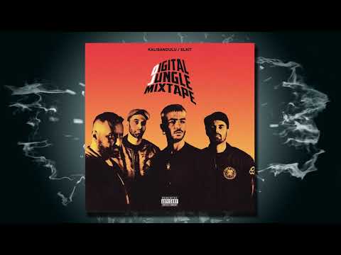 Digital Jungle Mixtape - Kalibandulu & Slait