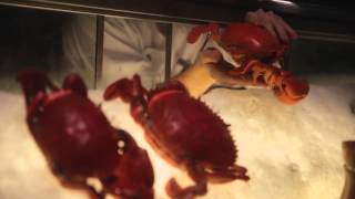 An Exploration with Grand Hyatt Singapore