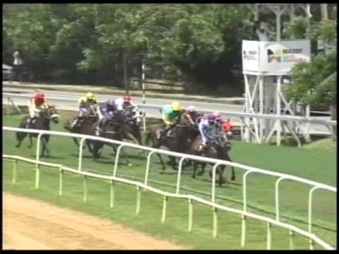 Race#2 August 9, 2014 Massy United Insurance Derby Day