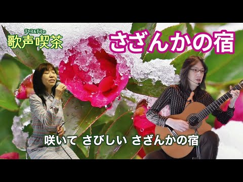 さざんかの宿