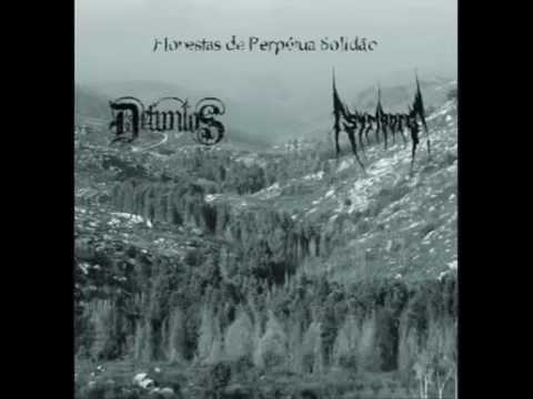 Defuntos / Striborg ‎- Florestas De Perpétua Solidão (SPLIT STREAM)