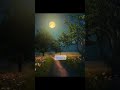 Beautiful Nature Night Nature Night