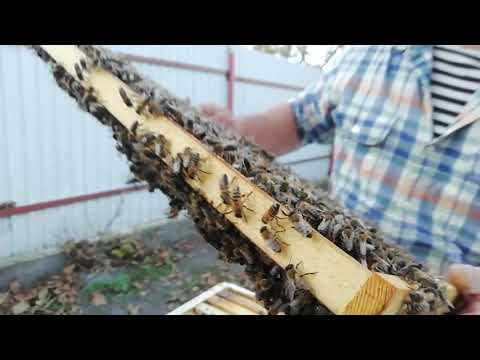 Вот и разрешилась проблема.