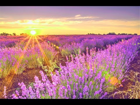 GOOD MORNING MUSIC 528Hz ➤ Positive Morning Thoughts - Positive Thinking - Morning Meditation Music