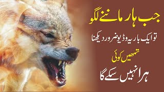 Overcoming Any Obstacle urdu Best Motivational Vid