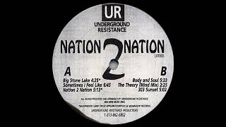 Underground Resistance - Big Stone Lake [UR005]