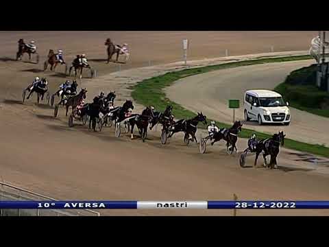 Aversa trotto 28 Dicembre 2022 - 10° Corsa