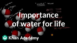 Importance of water for life | Chemistry of life | AP Biology | Khan Academy