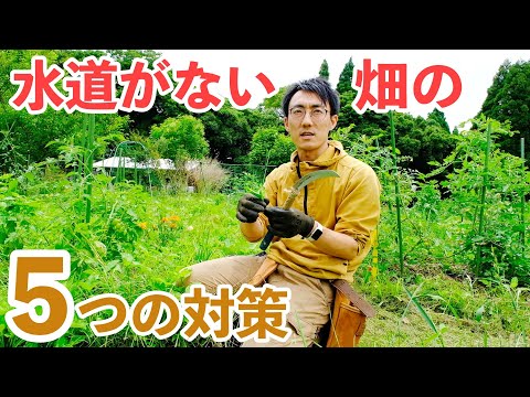 無料で植物に水をまく、バルコニー雨水コレクターの DIY アイデア 5 つ  庭園