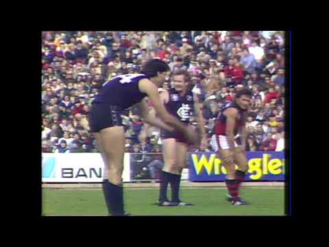 1983 Round 11 Carlton Highlights - Carlton vs Essendon