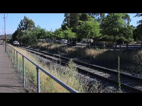 ARTC HiRail (Toyota Landcruiser) Wandong 12/1/2022