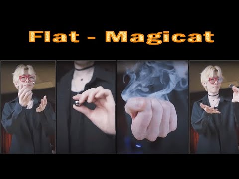Voir la vidéo Flat - Magicat