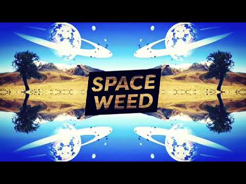 Space Weed - Rocket Man Promo