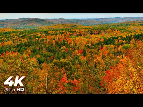 Amazing Fall Foliage in Vermont in 4K Ultra HD - 4K Relaxation World