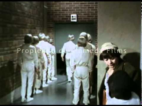 Chabelo y Pepito detectives (trailer original)