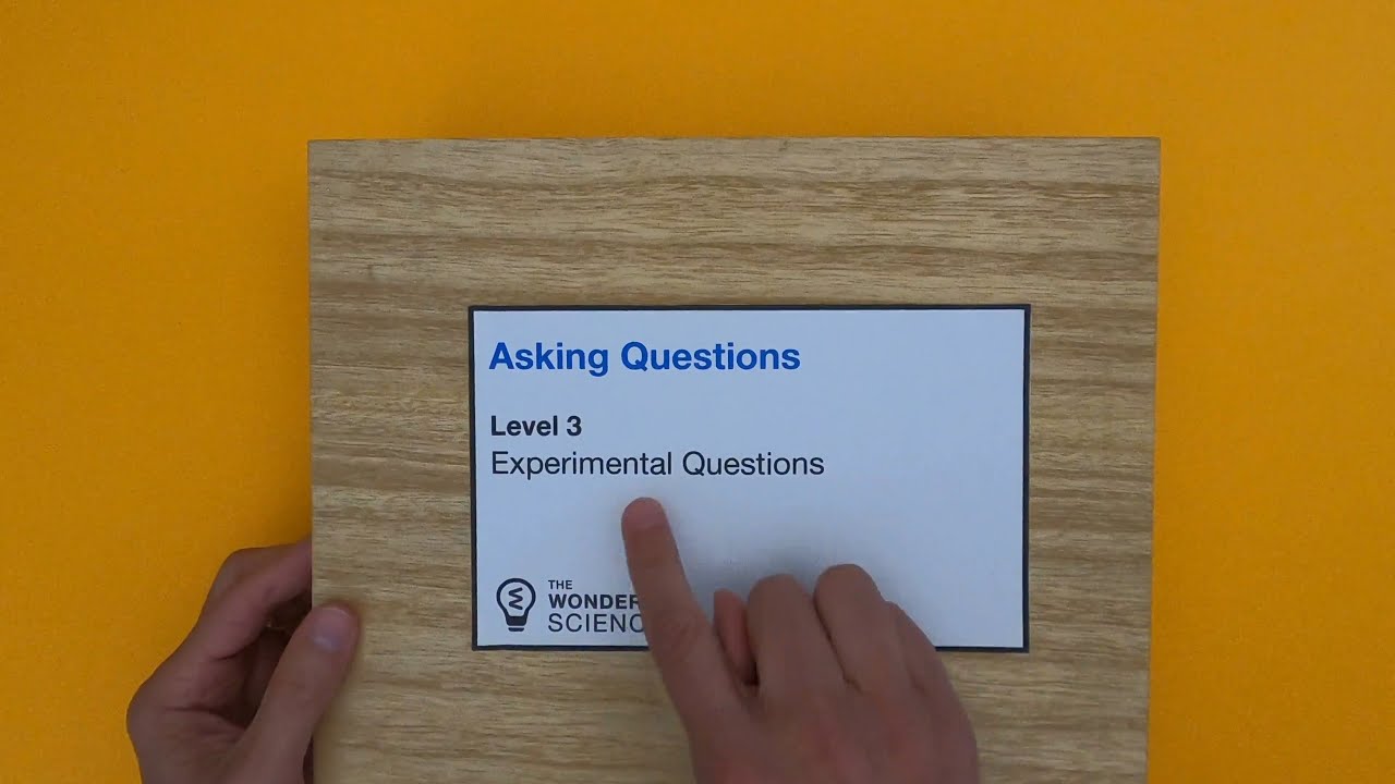 Experimental Questions