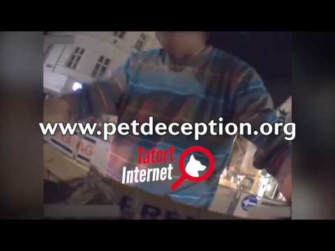 VIER PFOTEN undercover: Welpenverkauf auf offener Straße