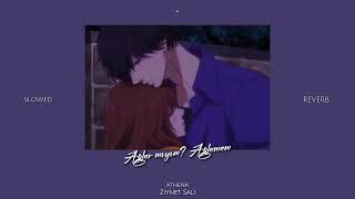 Ziynet Sali - Ağlar mıyım? Ağlamam (𝐒𝐥𝐨𝐰𝐞𝐝 + 𝐑𝐞𝐯𝐞𝐫𝐛)