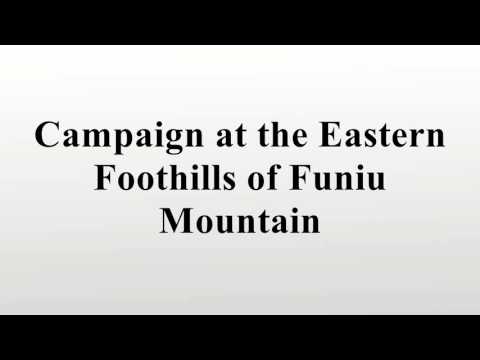 Campaign at the Eastern Foothills of Funiu Mountain