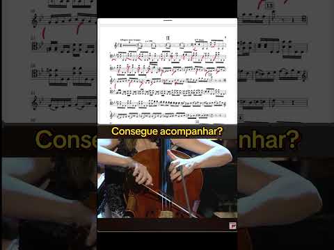 Cello concerto No.2 - Saint-Saëns #musica #cello #saintsaens #virtuoso #instrumental #violoncelo