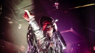 PIG - Raymond Watts Audio Interview 2017-7-10