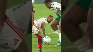 OS GOLS DO PALMEIRAS NO PASSEIO SOBRE O FLAMENGO, PELO BRASILEIRÃO!