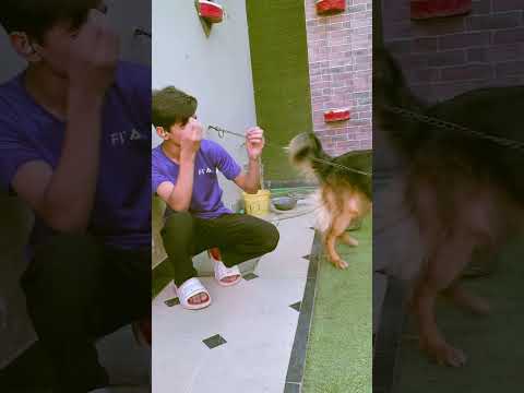 #funny 🤣 #konkona #viralsong