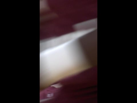 Leandro Bolmaro with the must-see play!