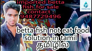 உங்கள்  fighter fish  சாப்பிடவில்லையா ?🤔 | betta fish not eat food !? Solution tamil | தமிழ்