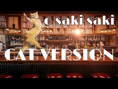 O Saki Saki (Cat Version) | ABCS