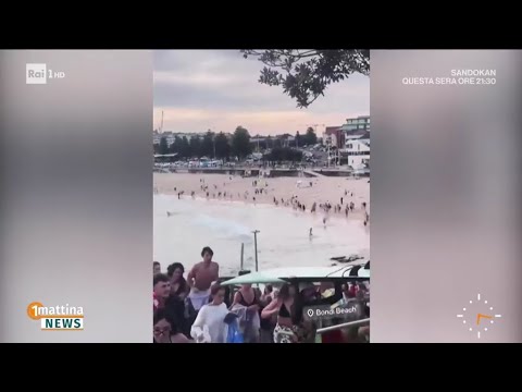 Strage a Sydney, l'attacco terroristico durante la festa di Hannukkah - 1mattina News 15/12/2025