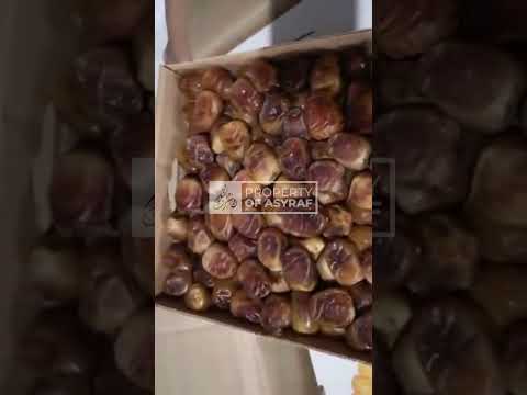 Video Kurma Asyraf