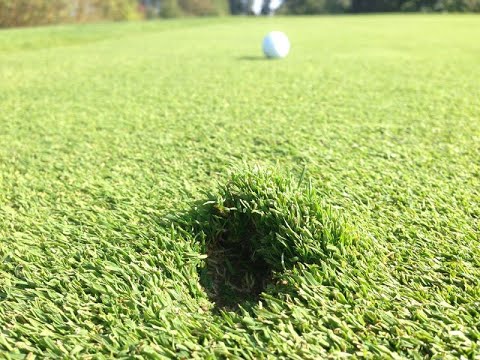 Die nackte Wahrheit: Carrylängen - warum es so wichtig ist seine Flugdistanz zu kennen