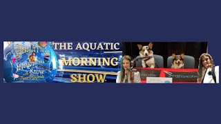 The Aquatic Morning Show