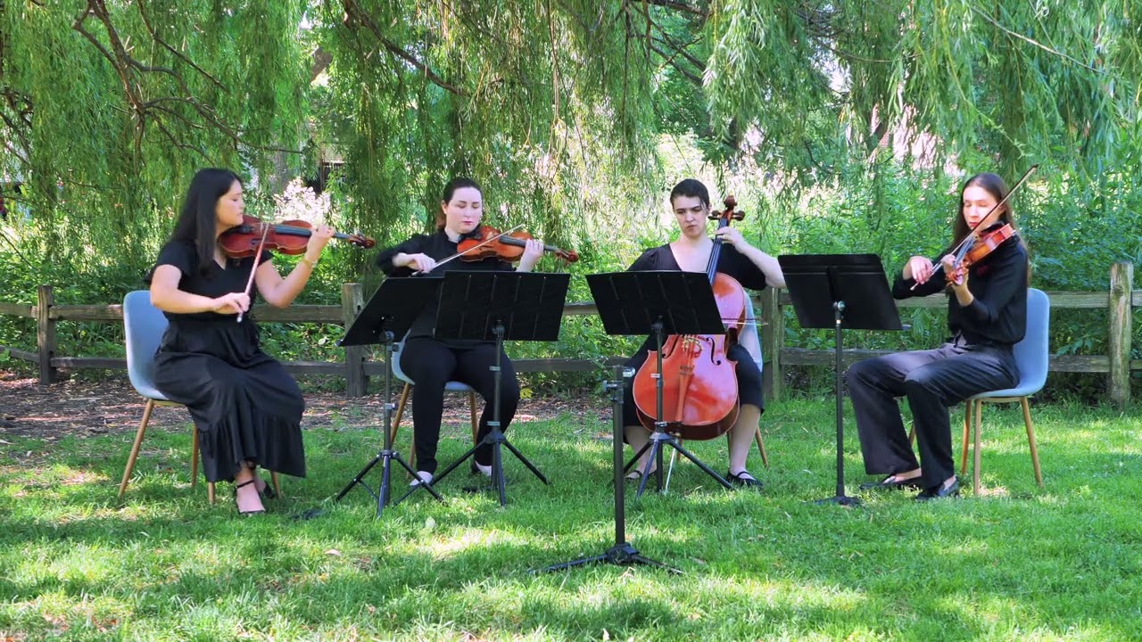 Promotional video thumbnail 1 for Evanston Strings, Elegant & Professional Live Music