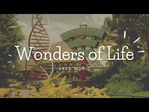 Wonders of Life Pavilion - Ambient Music