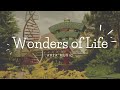 Wonders Of Life Pavilion Ambient Music