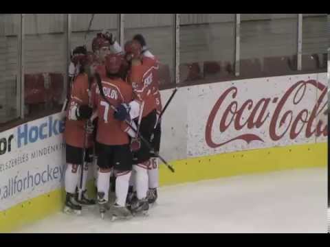 Dunaújvárosi Acélbikák-Mac Budapest (MOL106 2015.11.22)