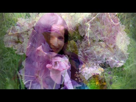 Izzivi sodobnega človeka - Lidija Kos