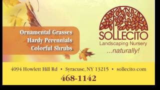 Planting In the Fall - Sollecito Landscaping Nursery
