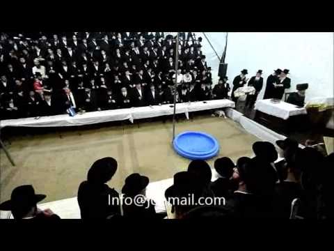 Sadigura Rebbe Doing Tashlich - Tishrei 5776