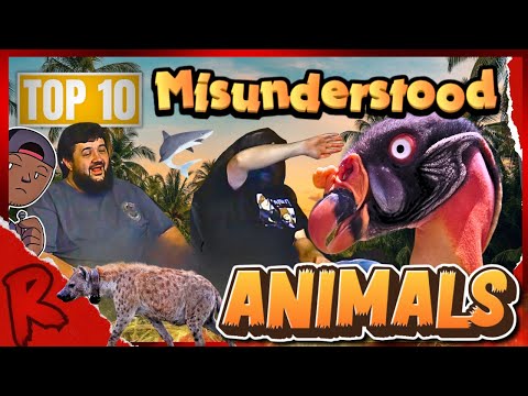 Top 10 Most Criminally Misunderstood Animals - @mndiaye_97 | RENEGADES REACT