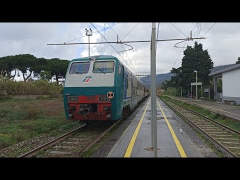 R TROPEA LINE 5482  Rosarno - Lamezia Terme C.le