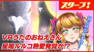 【LIVE】うたのおねえさん星鳴ルルコ☆ハトと熱愛発覚？！第1羽目【Vtuber】