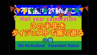 ネットで土地を買ってみた　負動産を富動産に⑭　開拓から半年が経過しましたの巻