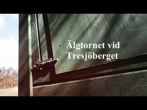 ÄLGTORNET vid TRESJÖBERGET - Kallinge - 2022-04-03 - Sony Xperia I mk2 - BLEKINGE