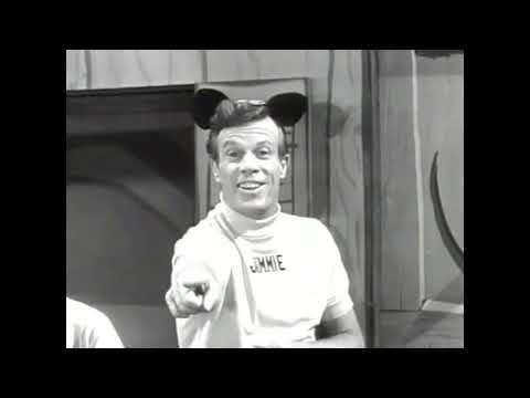 Are You Secretly a Mouseketeer? (1997)