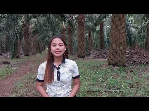 FINAL TERM PERFORMANCE TASK