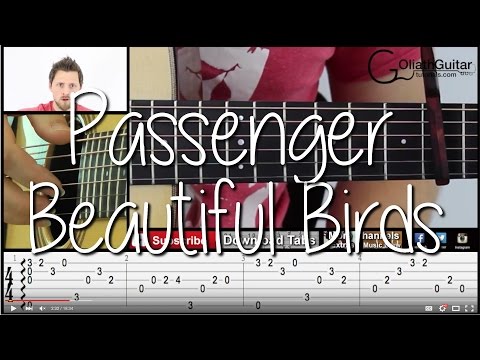 Beautiful Birds - Passenger